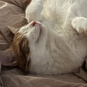 Eras tour quarter zip